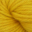 EstelleChunky - 317 Goldenrod.jpg